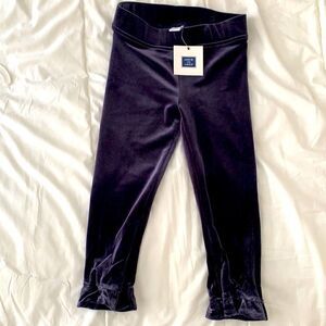 Janie and Jack velvet leggings